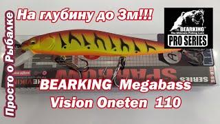 Недорогой Воблер на щуку из Китая. Реплика BEARKING  Megabass Vision Oneten  110. Твичинг воблеров.