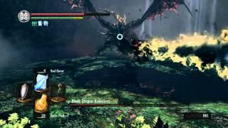 Dark Souls PTDE - Kalameet Fight (Mage-style)