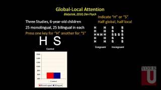 York Circle - Bilingualism, Brain, and Behaviour: What's the Connection?