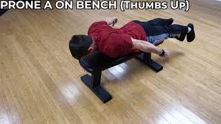 Prone A on Bench (Thumbs Up)