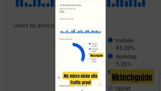 Live Traffic proof of micro niche website of mine. #blogging #microniche #blogniche