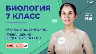 Органы пищеварения. Превращение веществ и энергии. Видеоурок 30. Биология 7 класс.