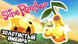 Slime Rancher  - ЗОЛОТИСТЫЙ ИМБИРЬ #11