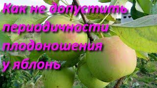 Периодичность плодовых деревьев  Как не допустить до периодичности