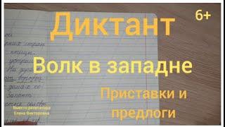 65. Диктант "Волк в западне"