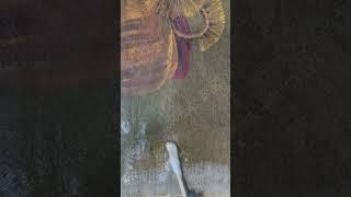 The Conservation: Removal of yellow varnish to the expensive oil #painting