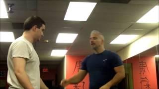 Izzo Wing Chun:  Wing Chun vs Boxing