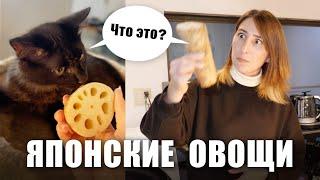 Необычные японские овощи и как их едят