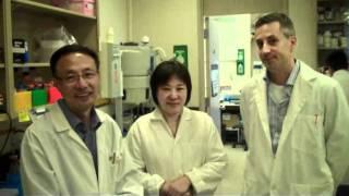 Analytical Chemistry Awards