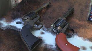 Ruger Wrangler VS Heritage Rough Rider