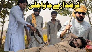 Qarazdary Cha Wajaly Funny Video Pk Plus Vines 2025