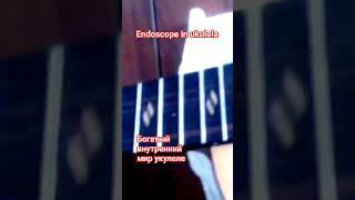 В процессе ремонта, проверял как заклеил трещину #ukulele #guitar #endoscopia #томск #укулеле