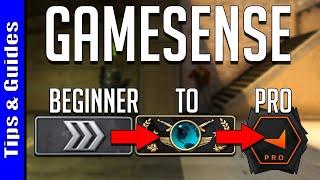 4 Levels of Gamesense : Beginner to Pro (ft. forZe Jerry)