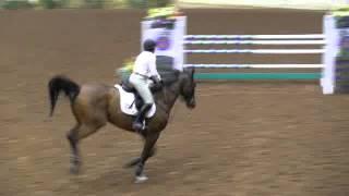 Video of MTM SUMMIT ridden by TAYLOR SUTTON from ShowNet!