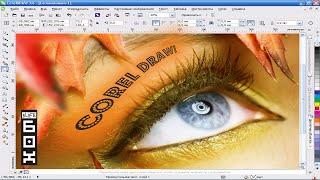 Уроки Corel DRAW для начинающих. Бесплатно 65 уроков по графическому редактору Корел Дро.