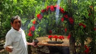 Holy Fire Reiki experience