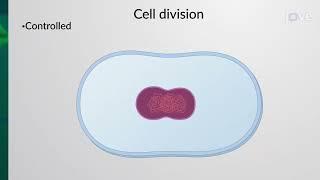 JoVE Core: Cell Biology