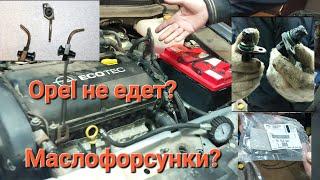 OPEL не едет и стучит! Маслофорсунки?Фазики? 300000км!