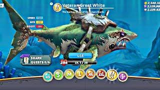 Hungry Shark World New Shark - New Veteran Great White Shark Unlock & Gameplay - Hungry Shark Games