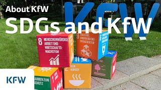 Sustainable Development Goals (SDG): KfW Development Finance Forum 2016