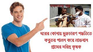 ঘরের কোনায় মুক্তচারণ পদ্ধতিতে কবুতর পালন করে লাভবান গ্রামের দরিদ্র কৃষক,Free ranging system of pigeo