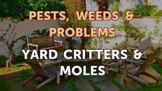 Yard Critters & Moles