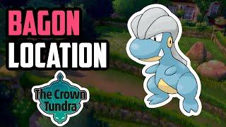 How to Catch Bagon - Pokemon Sword & Shield (DLC)