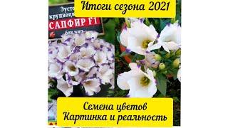 Семена цветов. Картинка и реальность Итоги сезона 2021#садвцветах #итоги #цветы