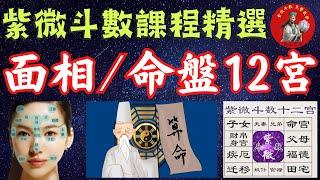 【命盤12宮與面相12宮介紹】|【紫微斗數命盤12宮】|【麻衣相法面相12宮】|【免費學習紫微斗數課程精選，紫微斗數2024，免費學習紫微斗數，命運好好玩-EP.2】