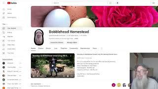 Bobblehead Homestead's OBS Studio Trial Live Stream