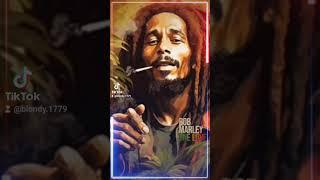 #rasta #regaee #rastaman #roots #bobmarley