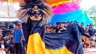 Singobarong Wahyu Tanjung Budoyo live Tanjungmojo Kecamatan Kangkung