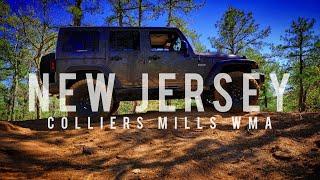 We're in NEW JERSEY? Exploring Colliers Mills and the Pine Barrens