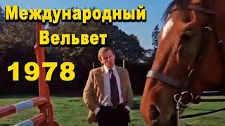 Международный вельвет 1978 / Фильмы о лошадях