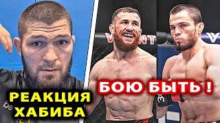 БОЮ БЫТЬ Мераб - Умар! РЕАКЦИЯ Хабиб Нурмагомедов UFC 311 Ислам Махачев Арман Царукян Двалишвили БОЙ