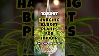 Best hanging basket plants for indoor / hanging plants for home #shortvideo #houseplants #short