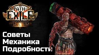 Тотемы в Path of Exile от А до Я ft. Tatiantel2