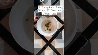 cara menghilangkan bau miss v #tipsalami #baumissv #caraalami #missvgatal