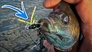 BLUEGILL FISHING With JIG & BOBBER‼️ DEADLY Combination For BIG BLUEGILL ‼️