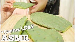 ASMR CACTUS LEAF (EXTREME CHALLENGE EATING SOUNDS) | SAS-ASMR