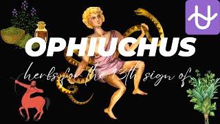 The Secret Herbs of Ophiuchus:  Healing and Spiritual Properties of the Serpent Bearer’s Plants 🪴