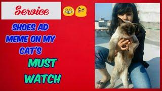 Service shoes ad meme on my cat's| U Z Life |