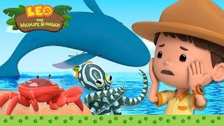  Best SEA ANIMALS  Piranhas, Whales, Mimic Octopus   Leo the Wildlife Ranger | Kids Cartoons