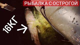 Рыбалка с острогой/большие щуки и сазаны