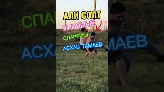 АСХАБ ТАМАЕВ vs АЛИ СОЛТ УЛИЧНЫЙ СПАРРИНГ