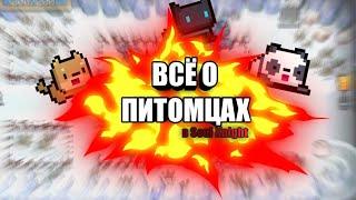 Всё о питомцах|Soul Knight