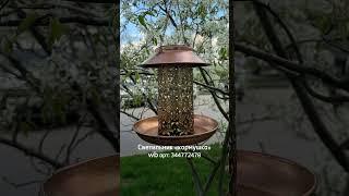 Топ-4 новинки для освещения сада, которые преобразят ваш участок #wb #сад #tiko #сад #wildberries
