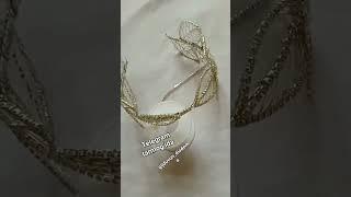 Sabina diadema