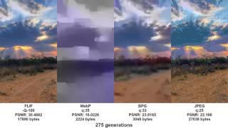Generation loss: FLIF vs WebP vs BPG vs JPEG