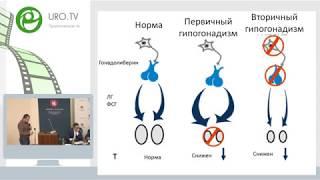 Греков Е А - Принципы терапии бесплодия при различных формах гипогонадизма